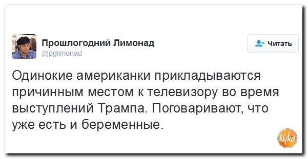 "Мыздобулы" в картинках. Смешных и не очень... 24-10-2016