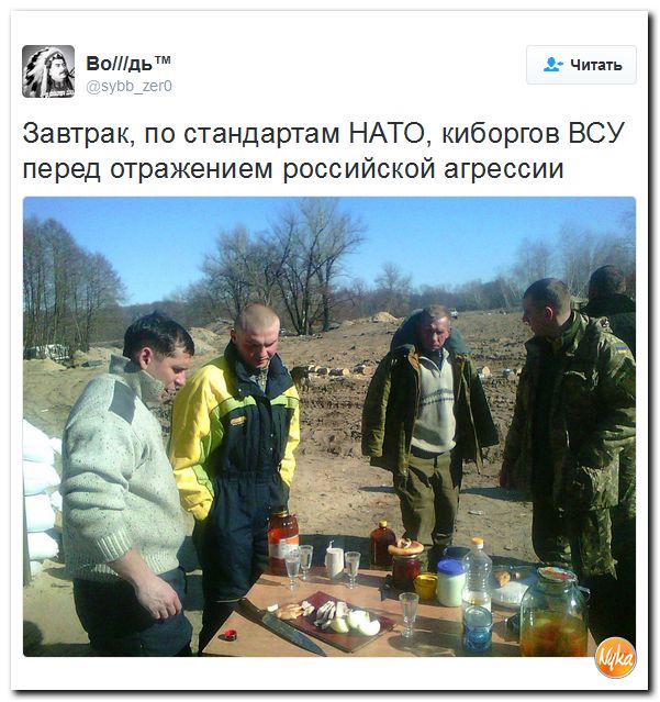 "Мыздобулы" в картинках. Смешных и не очень... 24-10-2016
