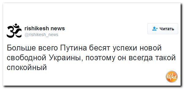 "Мыздобулы" в картинках. Смешных и не очень... 24-10-2016