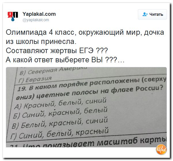 "Мыздобулы" в картинках. Смешных и не очень... 24-10-2016
