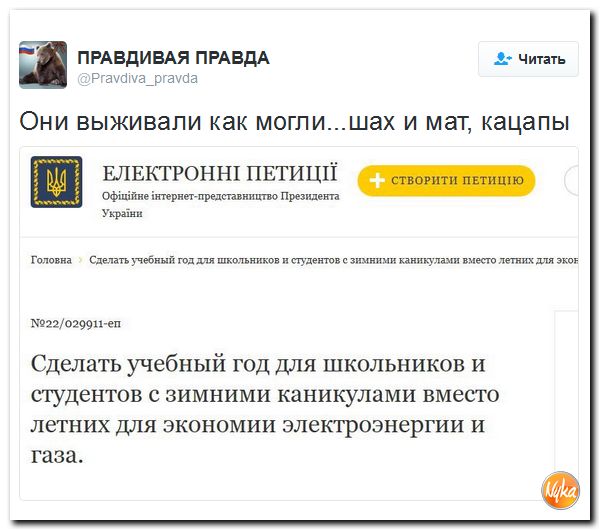 "Мыздобулы" в картинках. Смешных и не очень... 24-10-2016