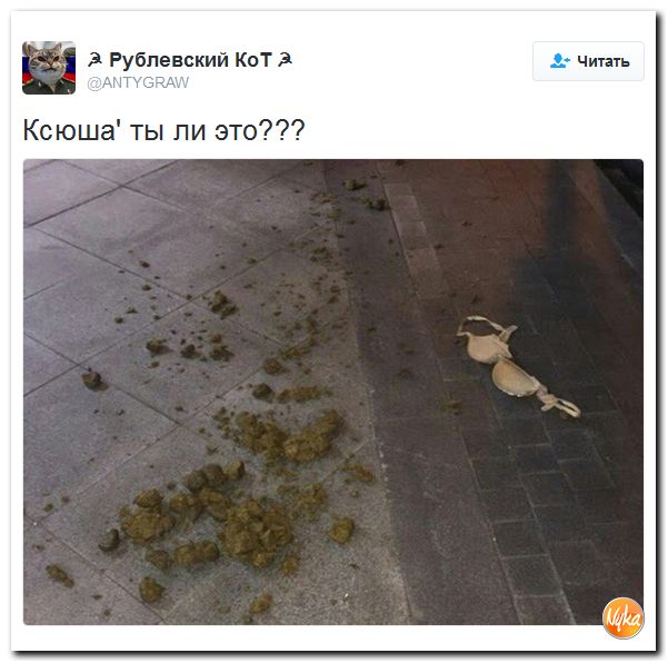 "Мыздобулы" в картинках. Смешных и не очень... 25-10-2016