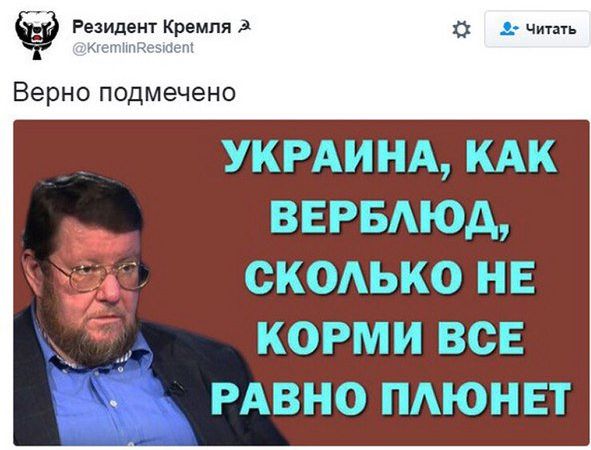 "Мыздобулы" в картинках. Смешных и не очень... 25-10-2016
