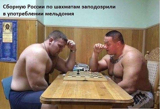 "Мыздобулы" в картинках. Смешных и не очень... 26-10-2016