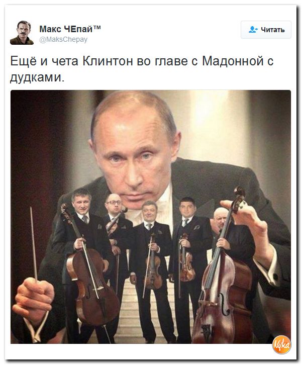 "Мыздобулы" в картинках. Смешных и не очень... 26-10-2016