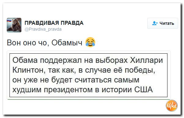 "Мыздобулы" в картинках. Смешных и не очень... 26-10-2016