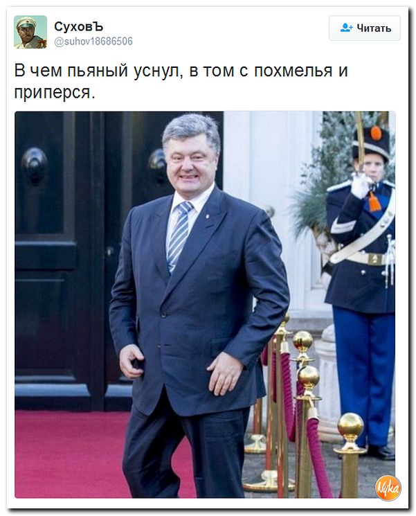 "Мыздобулы" в картинках. Смешных и не очень... 26-10-2016