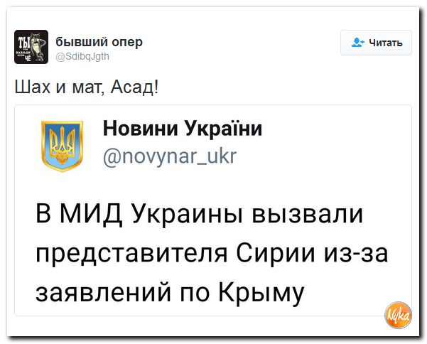 "Мыздобулы" в картинках. Смешных и не очень... 26-10-2016