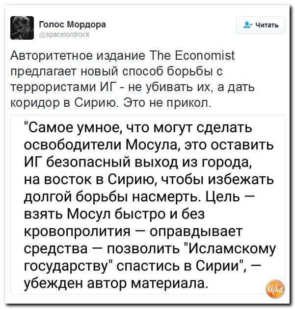 "Мыздобулы" в картинках. Смешных и не очень... 26-10-2016