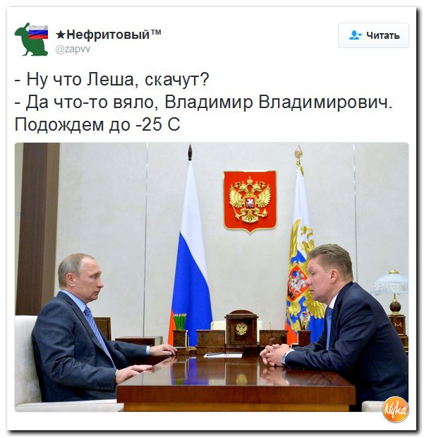 "Мыздобулы" в картинках. Смешных и не очень... 26-10-2016