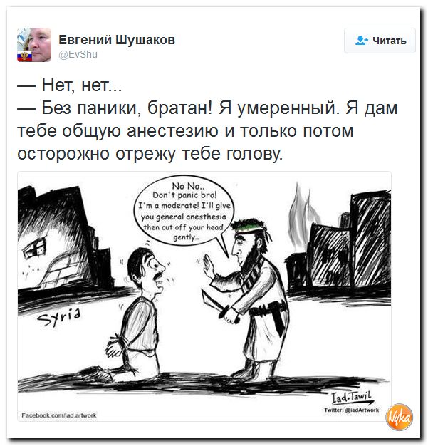 "Мыздобулы" в картинках. Смешных и не очень... 26-10-2016
