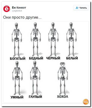 "Мыздобулы" в картинках. Смешных и не очень... 26-10-2016