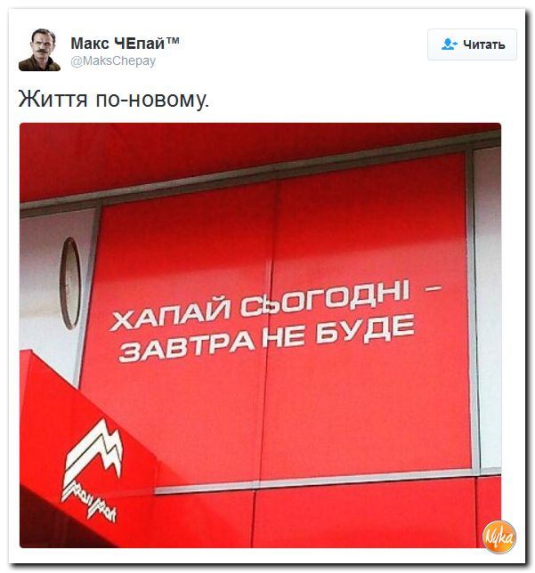 "Мыздобулы" в картинках. Смешных и не очень... 26-10-2016
