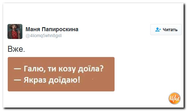 "Мыздобулы" в картинках. Смешных и не очень... 26-10-2016
