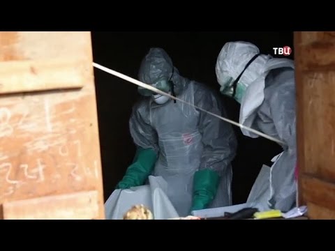 Вирус на продажу