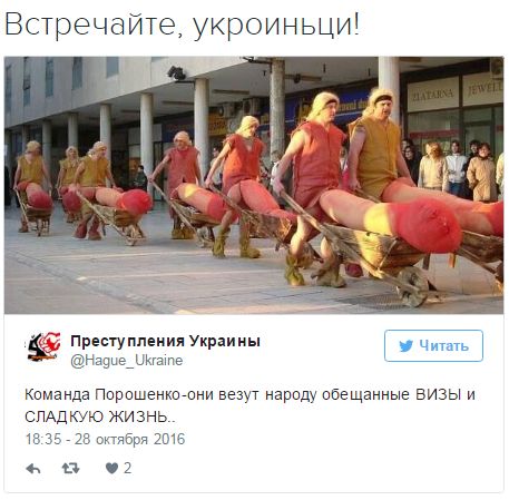 "Мыздобулы" в картинках. Смешных и не очень... 28-10-2016