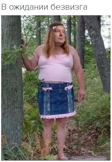 "Мыздобулы" в картинках. Смешных и не очень... 28-10-2016