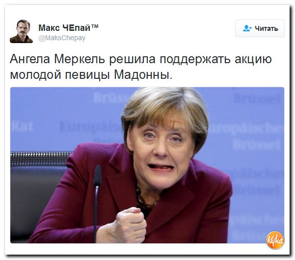 "Мыздобулы" в картинках. Смешных и не очень... 28-10-2016