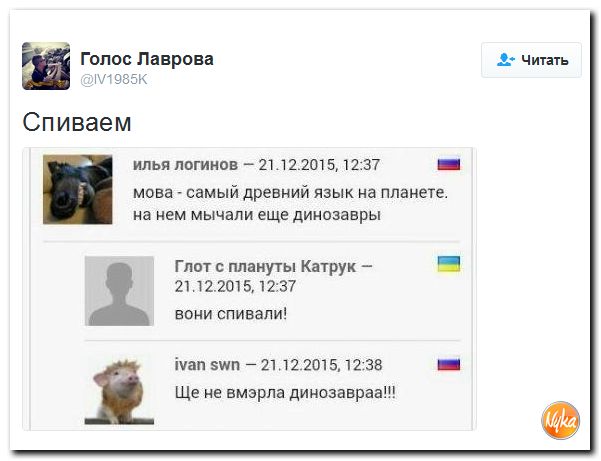 "Мыздобулы" в картинках. Смешных и не очень... 28-10-2016