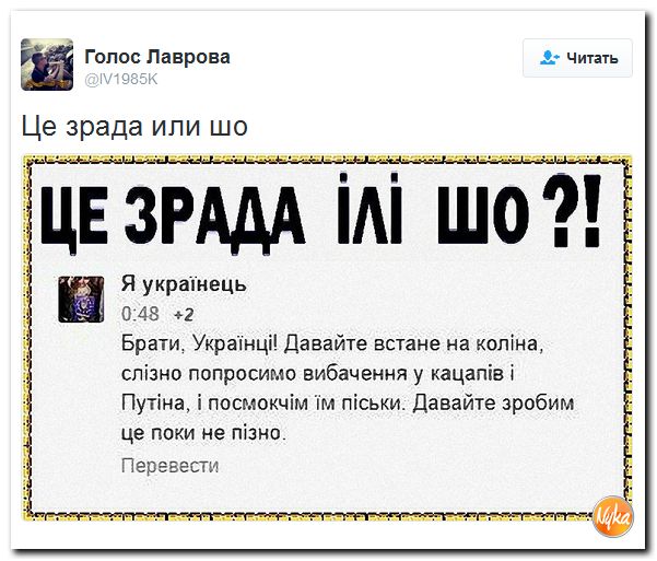 "Мыздобулы" в картинках. Смешных и не очень... 28-10-2016