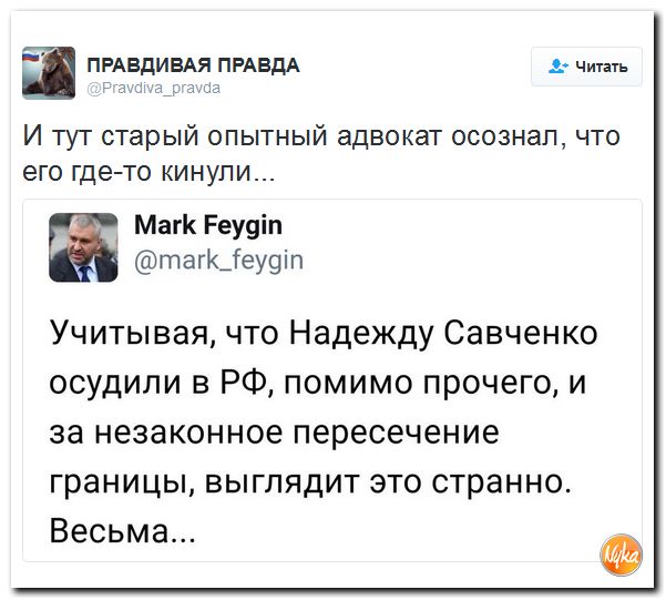 "Мыздобулы" в картинках. Смешных и не очень... 28-10-2016