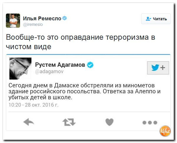 "Мыздобулы" в картинках. Смешных и не очень... 29-10-2016