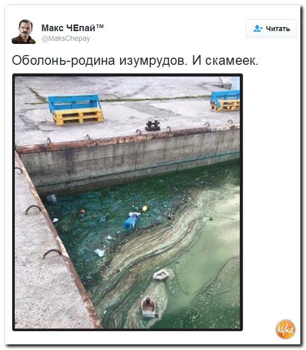 "Мыздобулы" в картинках. Смешных и не очень... 29-10-2016