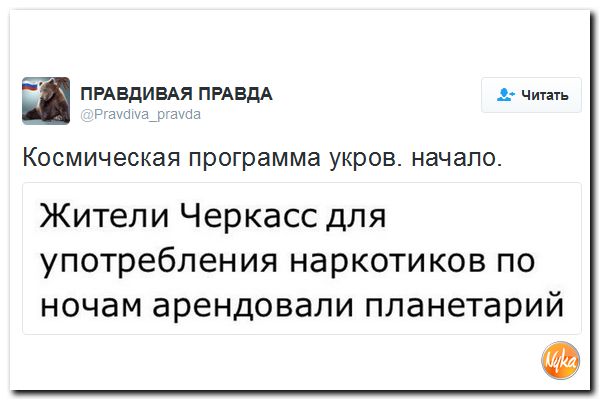 "Мыздобулы" в картинках. Смешных и не очень... 29-10-2016