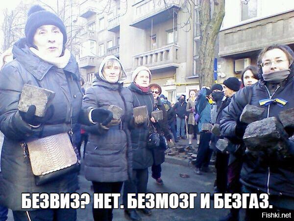 "Мыздобулы" в картинках. Смешных и не очень... 29-10-2016