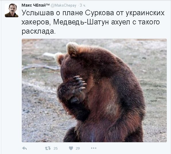 "Мыздобулы" в картинках. Смешных и не очень... 29-10-2016