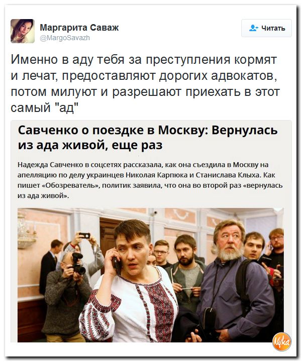 "Мыздобулы" в картинках. Смешных и не очень... 29-10-2016