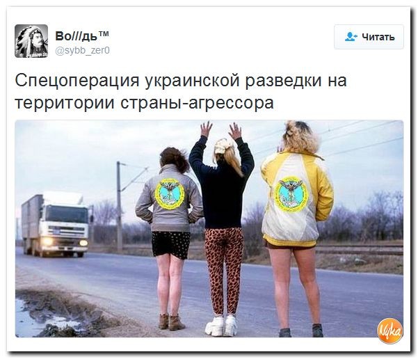 В Сети высмеивают новую эмблему украинской разведки с совой, разящей мечом Россию В Сети высмеивают новую эмблему украинской разведки с совой, разящей мечом Россию