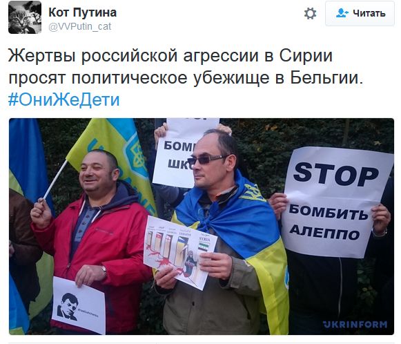 "Мыздобулы" в картинках. Смешных и не очень... 31-10-2016