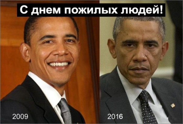 "Мыздобулы" в картинках. Смешных и не очень... 3-10-2016