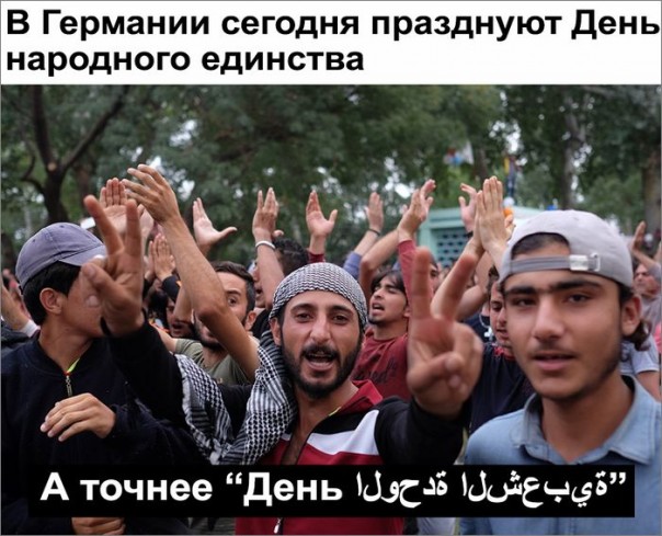 "Мыздобулы" в картинках. Смешных и не очень... 3-10-2016