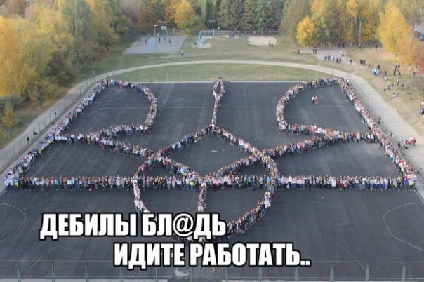 "Мыздобулы" в картинках. Смешных и не очень... 4-10-2016