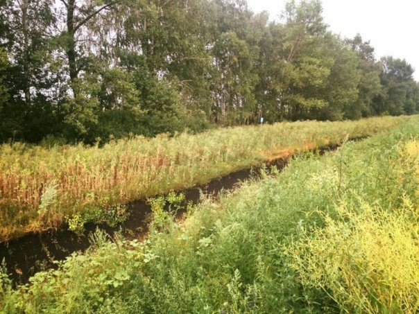 Невидимые и неприкасаемые зеки Украины. Владимир Скачко Невидимые и неприкасаемые зеки Украины. Владимир Скачко