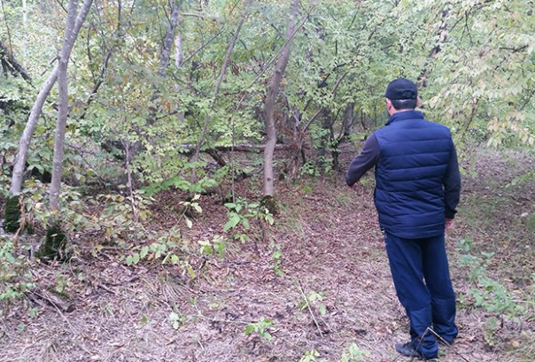 Братья работают Братья работают