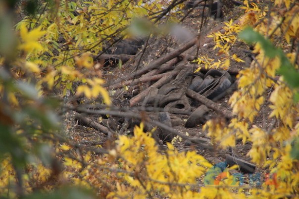 Каратели на Станице Луганской взорвали свой блиндаж, стреляя по позициям ЛНР