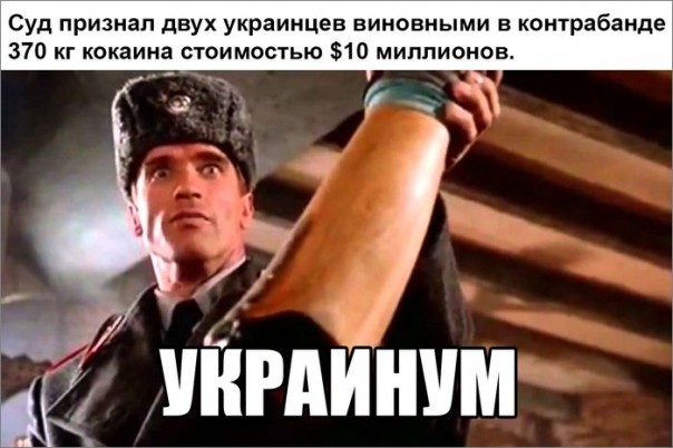 "Мыздобулы" в картинках. Смешных и не очень... 5-10-2016 "Мыздобулы" в картинках. Смешных и не очень... 5-10-2016