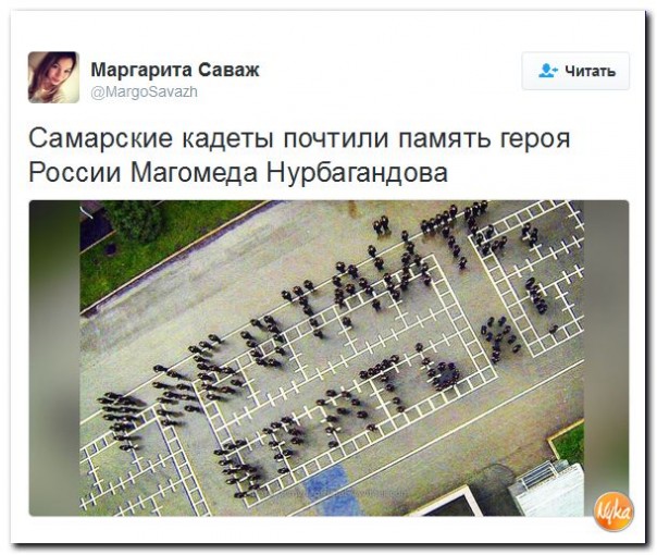 "Мыздобулы" в картинках. Смешных и не очень... 5-10-2016 "Мыздобулы" в картинках. Смешных и не очень... 5-10-2016