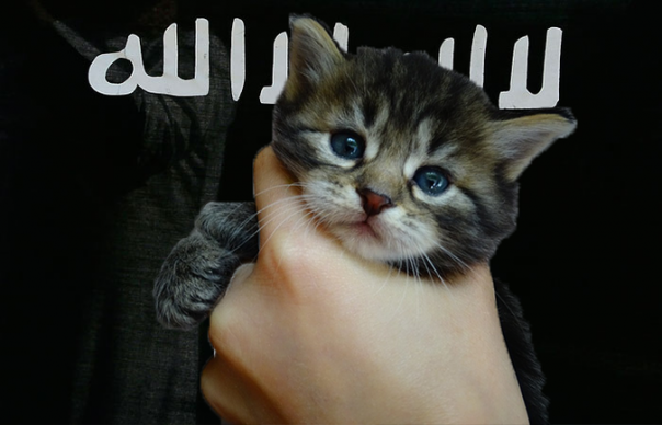 ИГИЛ объявило кошкам секс-джихад