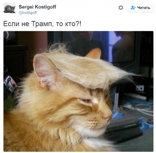 "Мыздобулы" в картинках. Смешных и не очень... 6-10-2016 "Мыздобулы" в картинках. Смешных и не очень... 6-10-2016