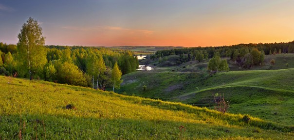Моё обращение к американскому народу