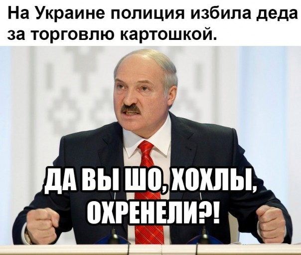 "Мыздобулы" в картинках. Смешных и не очень... 8-10-2016