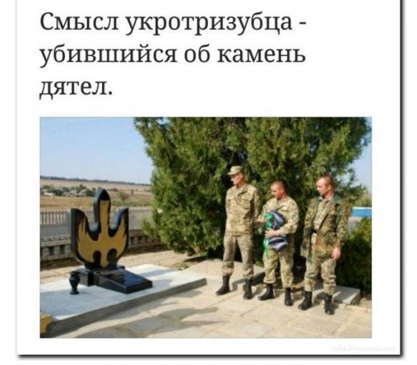 "Мыздобулы" в картинках. Смешных и не очень... 9-10-2016