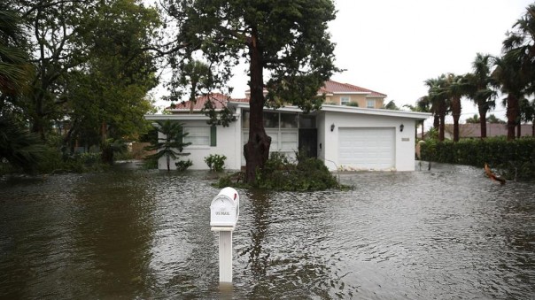 Закрывайте этажи - скоро будут грабежи! Закрывайте этажи - скоро будут грабежи!