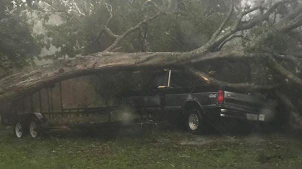 Закрывайте этажи - скоро будут грабежи! Закрывайте этажи - скоро будут грабежи!