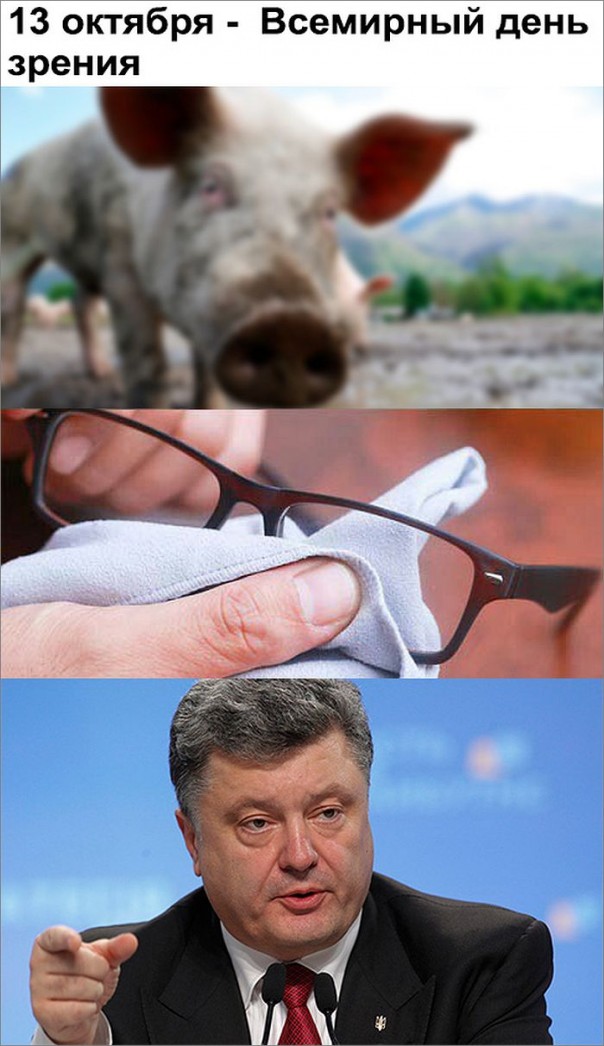 "Мыздобулы" в картинках. Смешных и не очень... 13-10-2016