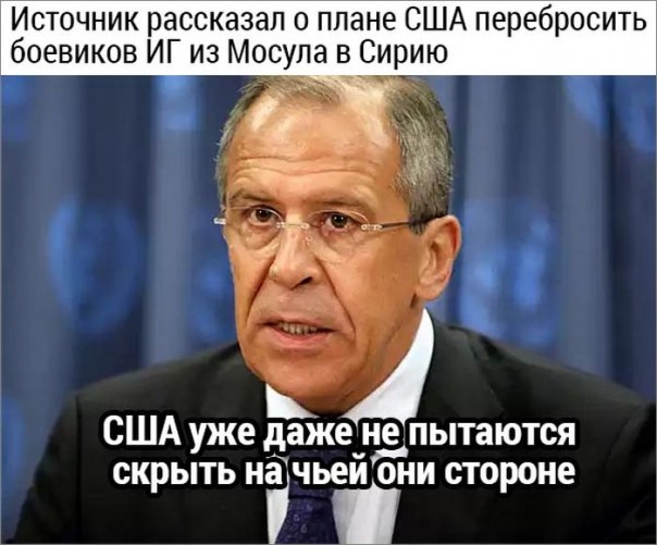 "Мыздобулы" в картинках. Смешных и не очень... 13-10-2016